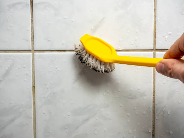 Best Attic Mold Removal  in Cimarron, KS