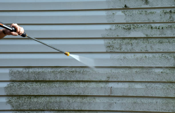 Best Local Mold Removal Service  in Cimarron, KS
