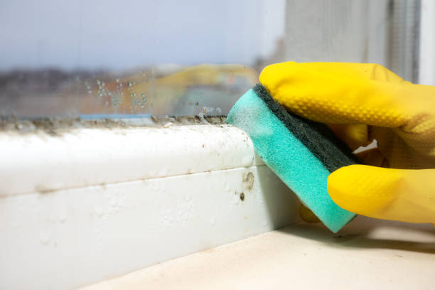 Best Mold Cleaning Services  in Cimarron, KS