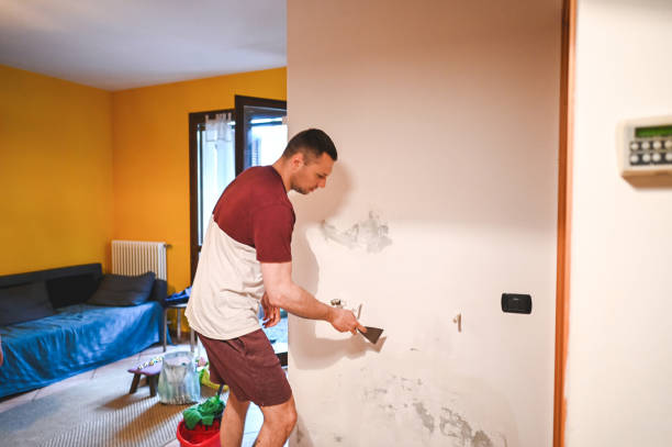Best Toxic Mold Removal  in Cimarron, KS