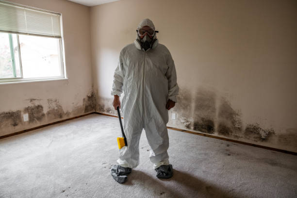Best Best Mold Removal Companies  in Cimarron, KS
