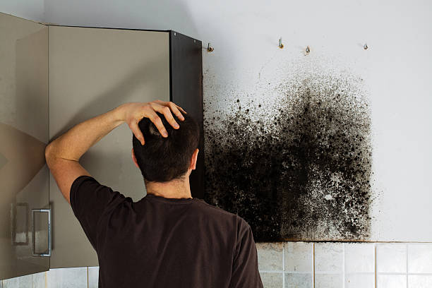 Best Residential Mold Removal  in Cimarron, KS